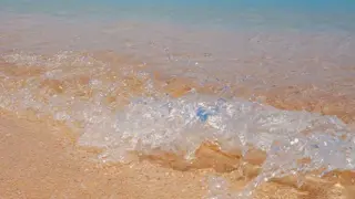 公式ホームページ