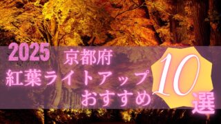 京都の紅葉ライトアップおすすめ10選